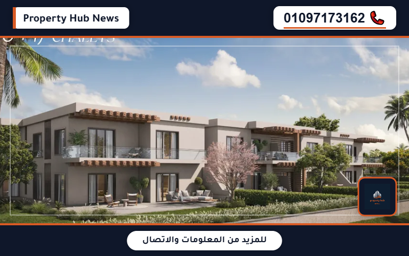 صورة مصغرة 3