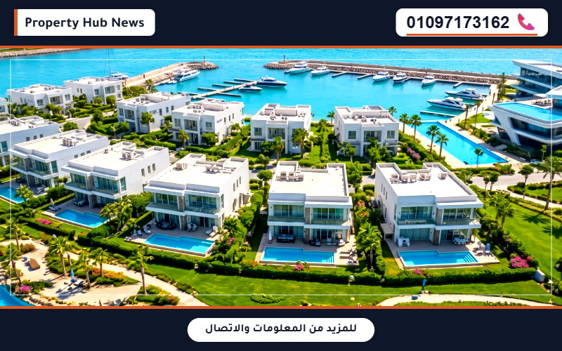 صورة مصغرة 3