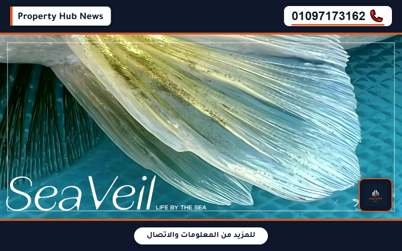 صورة مصغرة 6